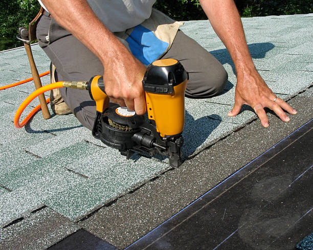 Gutter Installation and Roofing in Davis Junction, IL