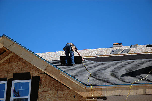 Best Shingle Roofing Installation  in Davis Junction, IL