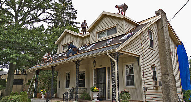 Davis Junction, IL Roofing Contractor Company